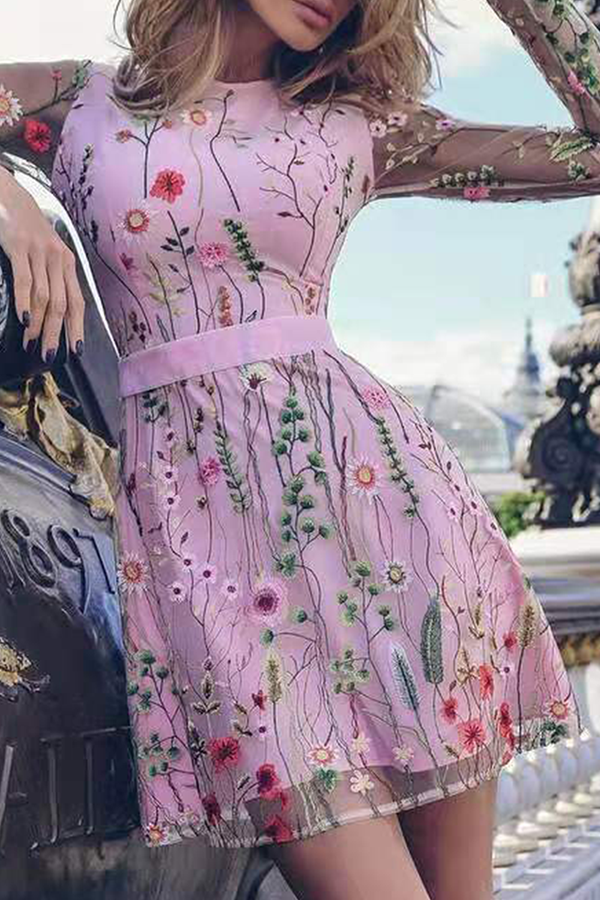 Fashion Elegant Floral Lace Embroidered Mesh O Neck Waist Skirt Dresses(4 Colors)