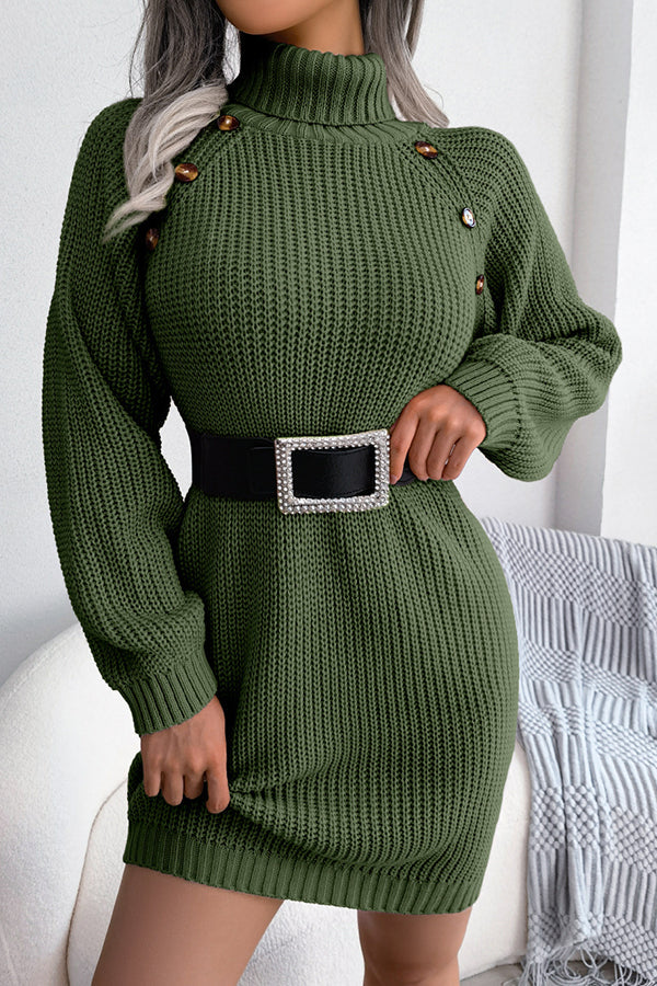 Baby It's You Knit Turtleneck Sweater Dress