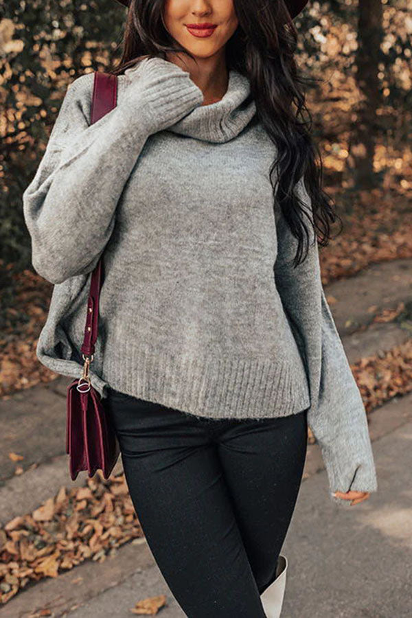 Plush Comfort Solid Color Turtleneck Sweater