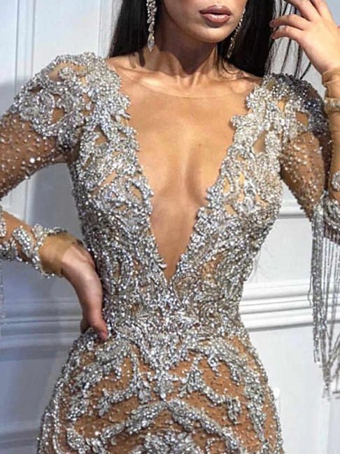 Women's Dresses Shiny Fringe Long Sleeve Slim Fit Dress