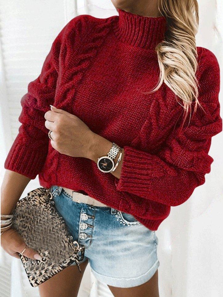 Women's Sweaters Solid Turtleneck Long Sleeve Knitted Sweater