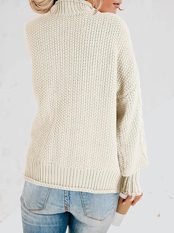 Women's Sweaters Turtleneck Long Sleeve Straight Sweater